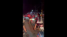 Pet dog lies across the back of motorcycle