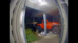 Terrifying encounter as black bear chases teenaged boy and his dog indoors