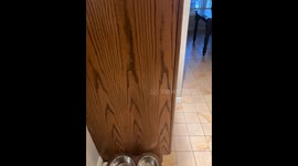 Watermelon Spontaneously Explodes in Kitchen