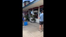 Wildlife Rescue Captures Young Black-Crowned Night Heron