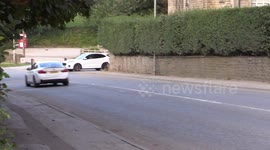 Farmers stunned after irate driver phones to complain about cows crossing road