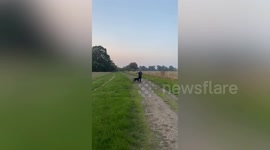Amusing moment man falls over while walking his dog