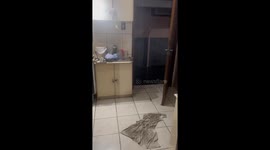 Bird Flies Out of Pot