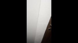 Spider at the Door