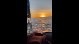 Picturesque scene as great white shark leaps out of water as sun sets on South Africa