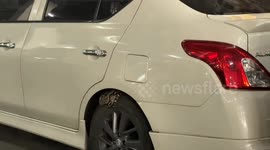 Snake wranglers catch python that slithered into family's parked car at shopping mall
