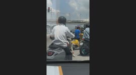 Motorcycle rider carries four pet geese on his bike