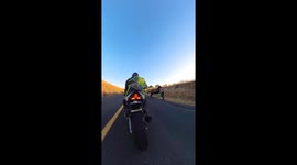 Horse runs away after being startled by motorbike in Spokane, Washington