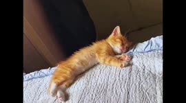 Pluto Falls Out Of Orbit