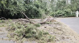 Hurricane Helene Aftermath in Florida