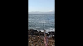 Dolphins close enough to hug! 4 year old watches dolphins a few metres from shore in Mossel Bay, South Africa