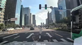 Motorists save blind woman after she wandered into busy road