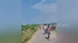 Tiger mauls Indian man who stopped to go to toilet in bushes