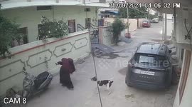 Horror moment woman and child attacked by stray dogs in India