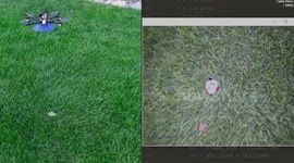Boffin invents hi-tech drone - for picking up dog poop