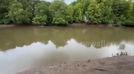Farm worker, 50, found half-eaten by crocodile in Malaysian river