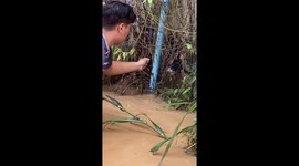 Locals rescue cats from flood in Thailand