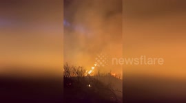 US: Lago Fire Contained: Brave Firefighters Halt Destructive Blaze in Angeles National Forest