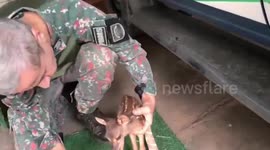 Brazil: Police Officer Feeds Tiny Rescued Fawn Milk From A Syringe