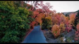 Leaf peeping in Butterfield Canyon, Utah
