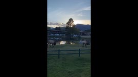 Male elk crash through wooden fence during fierce battle in Colorado