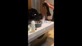 Bull Terrier Hides In Laundry Pile