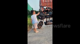 Adorable moment young boy befriends wild sparrow and can't wipe smile off his face
