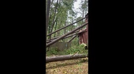House damaged by fallen trees during Hurricane Helene in Martinez, Georgia