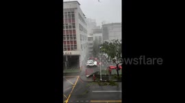 Trees battered by Typhoon Krathon winds in Taiwan's southwest coast