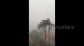 Venezuela: Heavy Rain Causes Tree Falls And Flooding In Barquisimeto