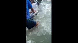 Beached whale stuck in fisherman's net rescued