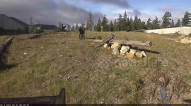 US: Majestic Bull Elk Takes Center Stage on I-90 Wildlife Crossing