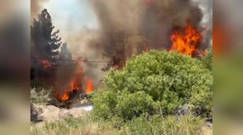 US: Heroic Firefighters Battle 40,000-Acre Inferno in Angelus Oaks Overnight