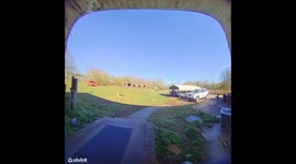 Mom Drops Herself Trying To Chase Dropped Juice