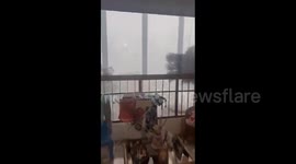 Venezuela: Heavy Rain Causes Tree Falls And Flooding In Barquisimeto 2