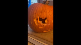 Incredible Carved Pumpkin Reveals