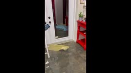 Hurricane Helene Floods Homes in Clearwater, Florida