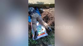 Police reachers into drain to rescue newborn puppies
