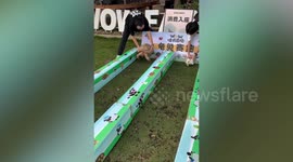 Tortoise and hare race in real-life version of the fable
