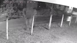 Wild elephant stomps around pensioner's home in Thailand