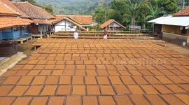 Traditional Tobacco Processing In Sumedang West Java Indonesia
