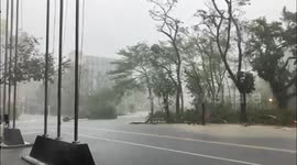 Taiwan: Typhoon Krathon Leaves Trail Of Destruction 3