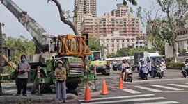 Typhoon Krathon impacts Taiwan: Severe disaster in southern Taiwan. Numerous roadside trees were uprooted by strong winds. The video shows post-disaster recovery efforts underway