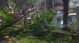 Taiwan: Typhoon Krathon Leaves Trail Of Destruction 6
