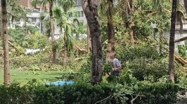 Typhoon Krathon impacts Taiwan: Severe disaster in southern Taiwan. Numerous roadside trees were uprooted by strong winds. The video shows post-disaster recovery efforts underway