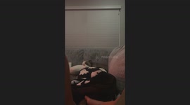 Superfan dog howls only to Benson Boone choruses