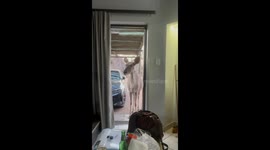 Kudu Visitor Shooed From Room