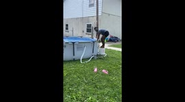 Child's pool jump goes wrong as bucket gives way in Allentown, Pennsylvania