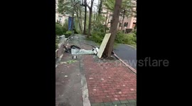 Taiwan: Typhoon Krathon Leaves Trail Of Destruction 9