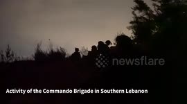 Lebanon: Activity of the Commando Brigade in Lebanon